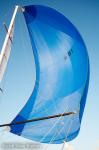 Sailing in 2008